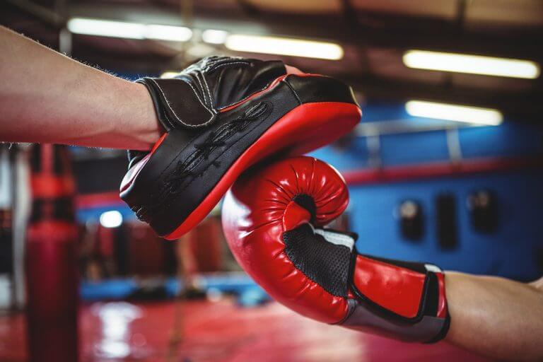 Un gant de boxe qui frappe une patte d'ours pendant un coaching à domicile
